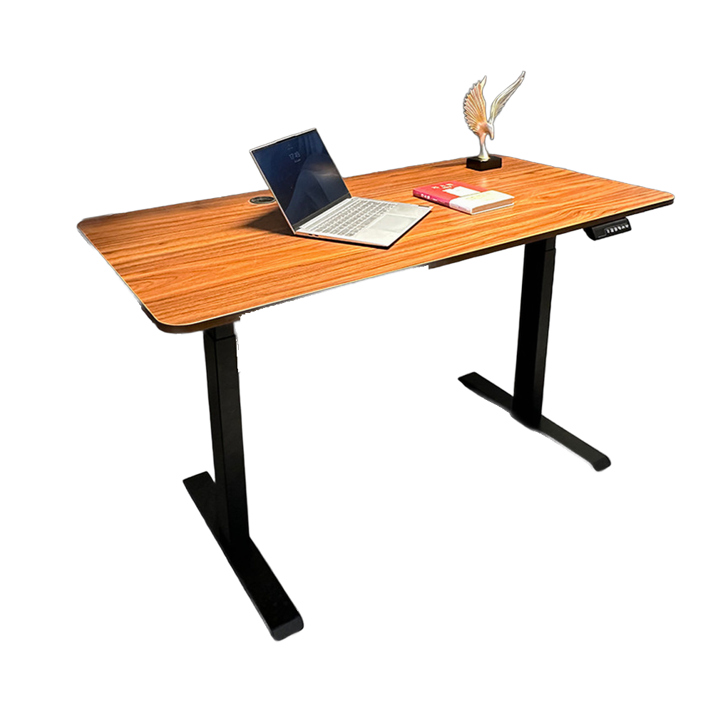 The Dock - Electric Standing Desk