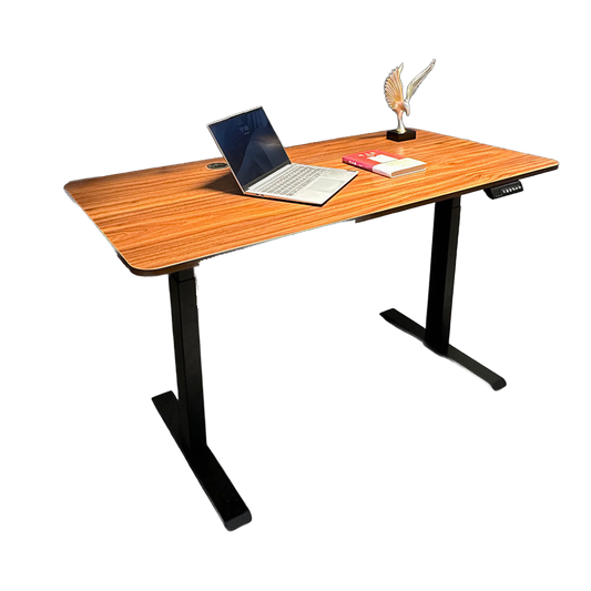 The Dock - Electric Standing Desk