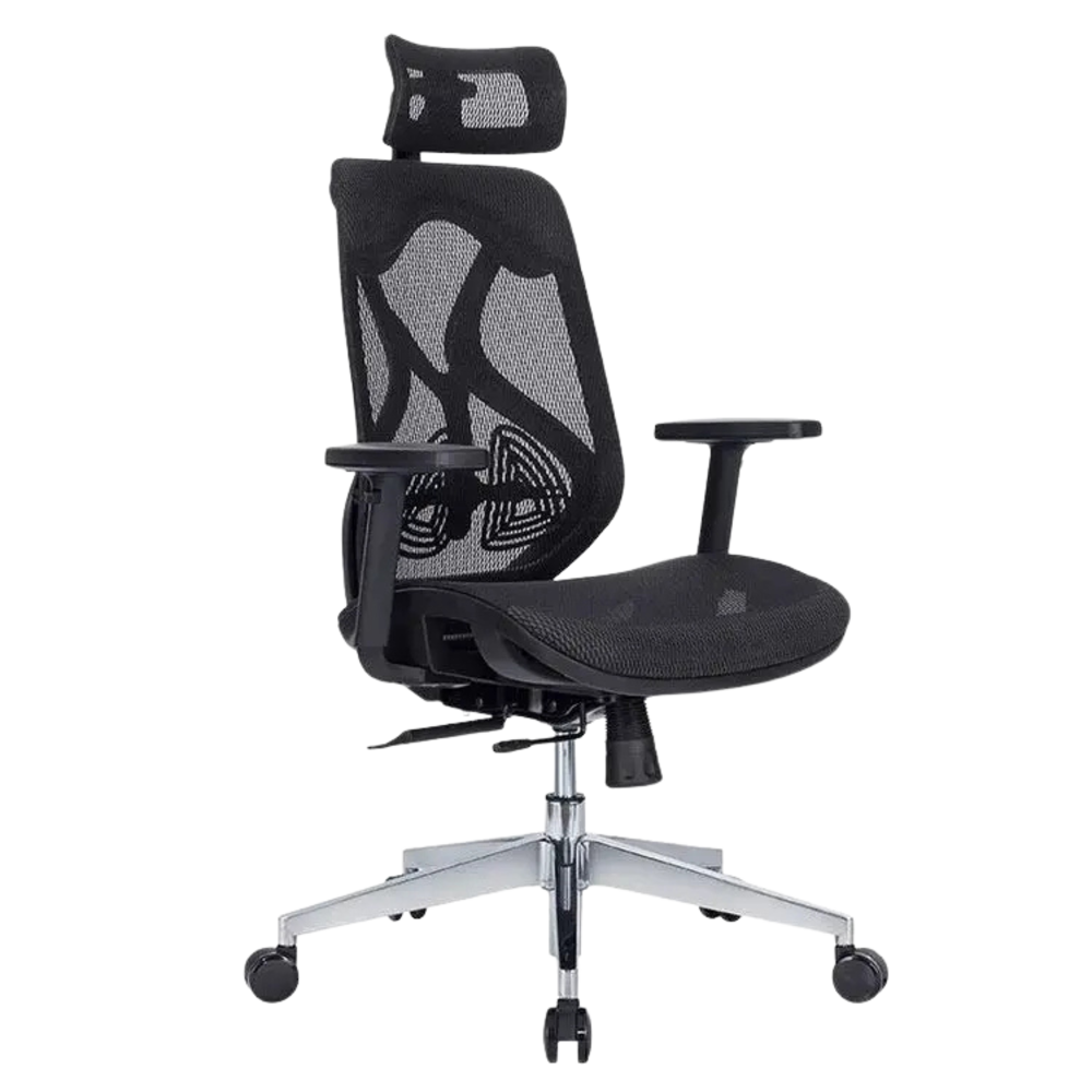 The Life Raft ergonomic office chair with mesh back, adjustable headrest and lumbar support